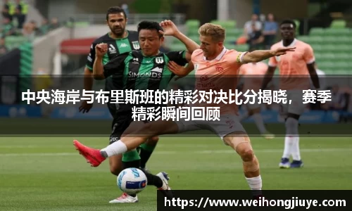 DB旗舰首页