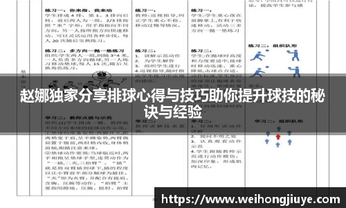 赵娜独家分享排球心得与技巧助你提升球技的秘诀与经验