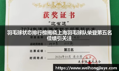 羽毛球状态排行榜揭晓上海羽毛球队荣登第五名佳绩引关注